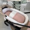 CONJUNTO BUGABOO DRAGONFLY